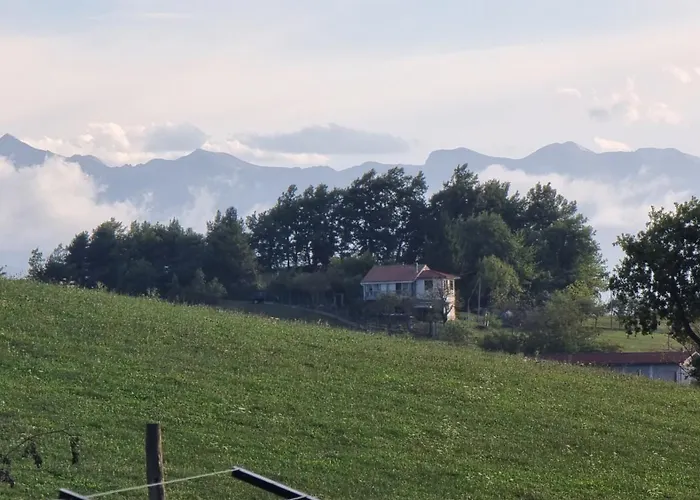 Little House In Alta Langa * Murazzano (Cuneo)